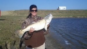 Inshore Fishing Trips